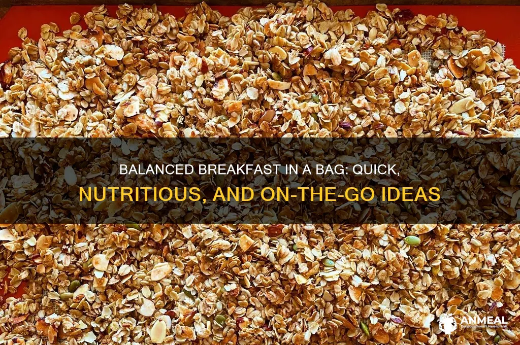 what is a balanced breakfast in bag it