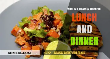Mastering Balanced Meals: Breakfast, Lunch, and Dinner Essentials