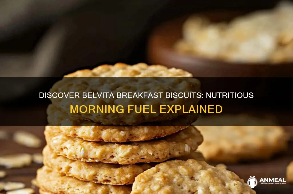 what is a belvita breakfast biscuit