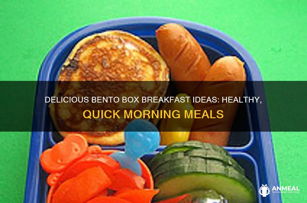 what is a bento box breakfast