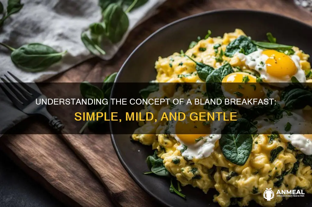 what is a bland breakfast