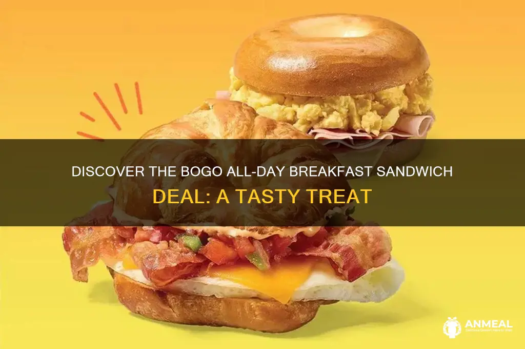 what is a bogo all day breakfast sandwich