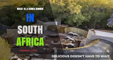 Experience Authentic South African Boma Dinners: Traditions, Food, and Culture