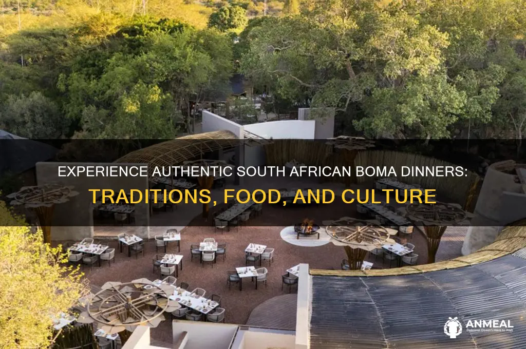 what is a boma dinner in south africa