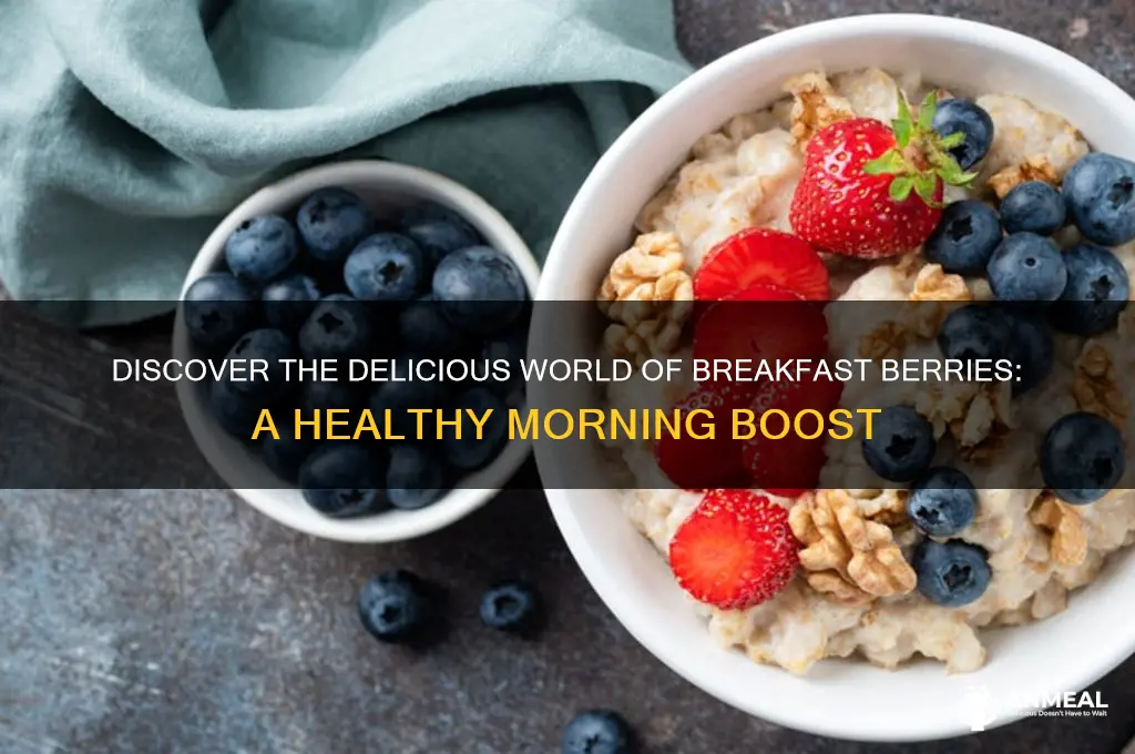 what is a breakfast berry