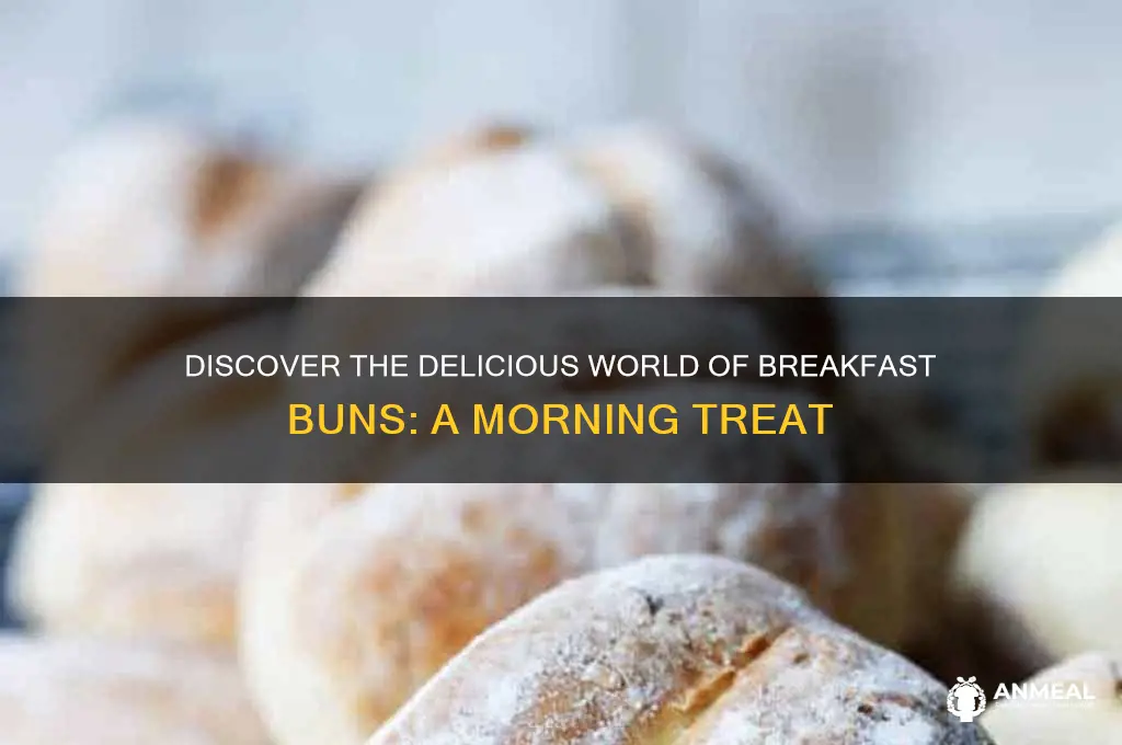 what is a breakfast bun