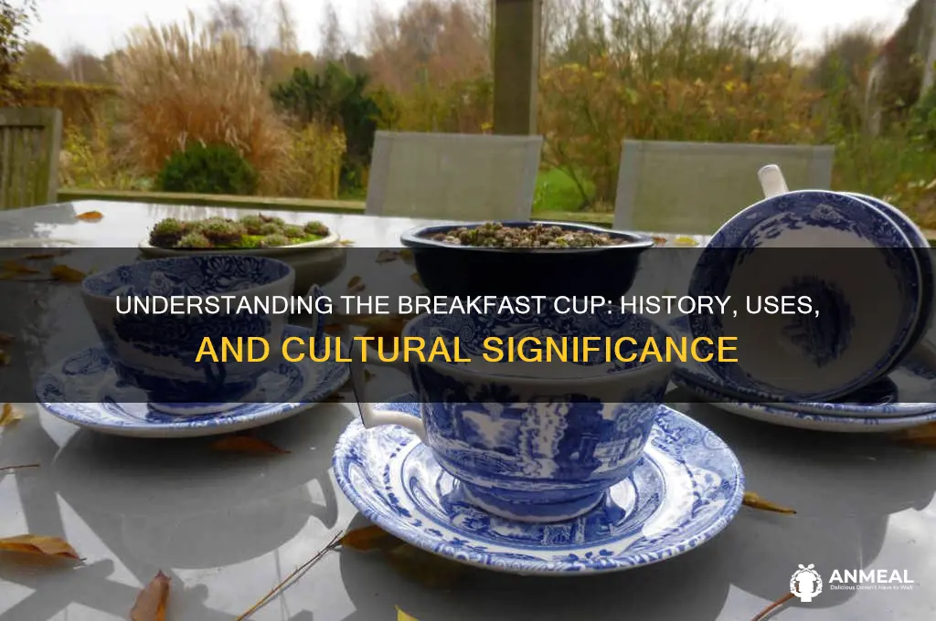 what is a breakfast cup