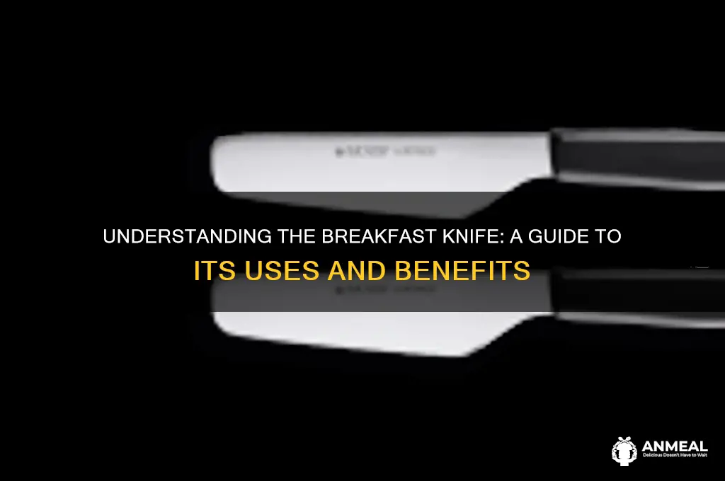 what is a breakfast knife