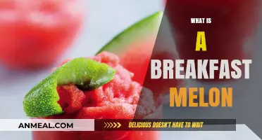 What is a Breakfast Melon? A Refreshing Morning Treat Explained