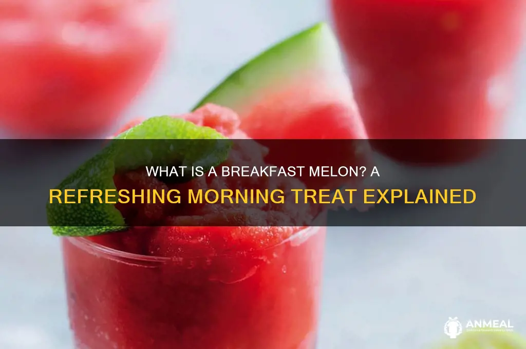 what is a breakfast melon