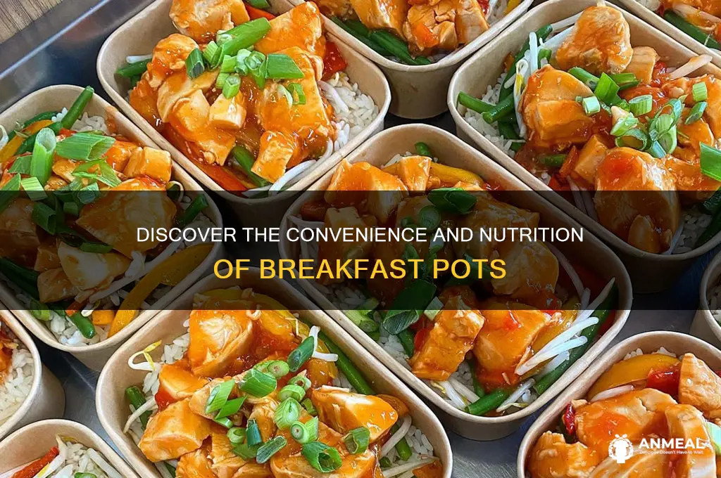 what is a breakfast pot