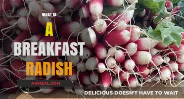 Discover the Crisp, Peppery Delight of Breakfast Radishes
