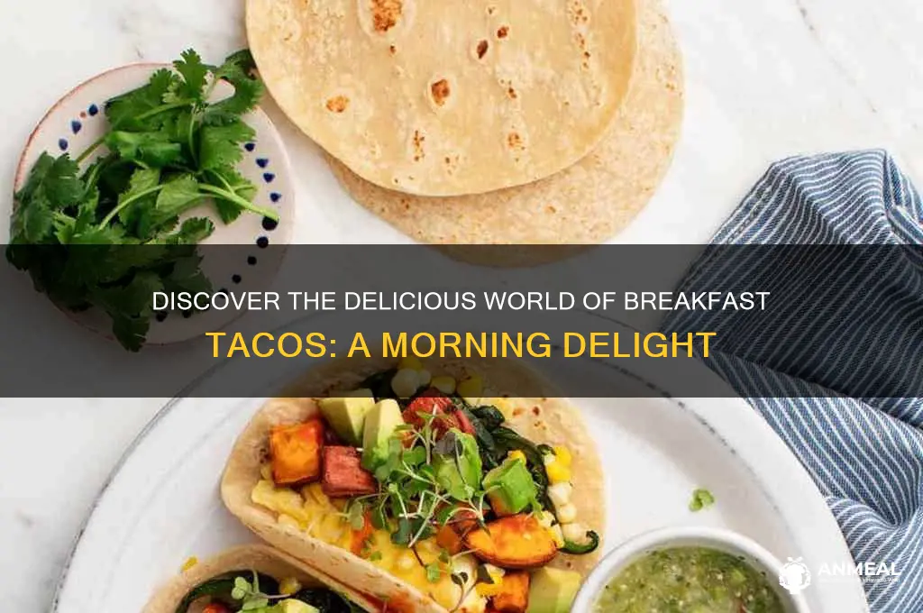 what is a breakfast tacos