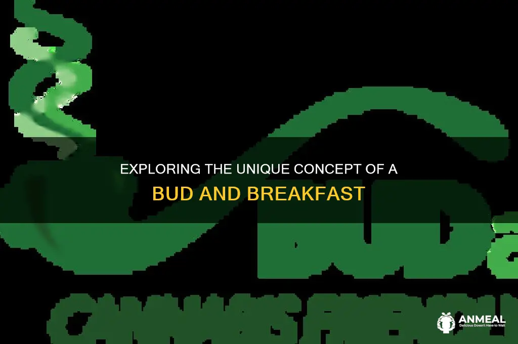 what is a bud and breakfast
