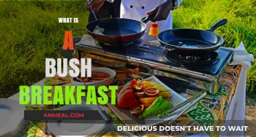 Exploring the Tradition and Delights of a Bush Breakfast Adventure