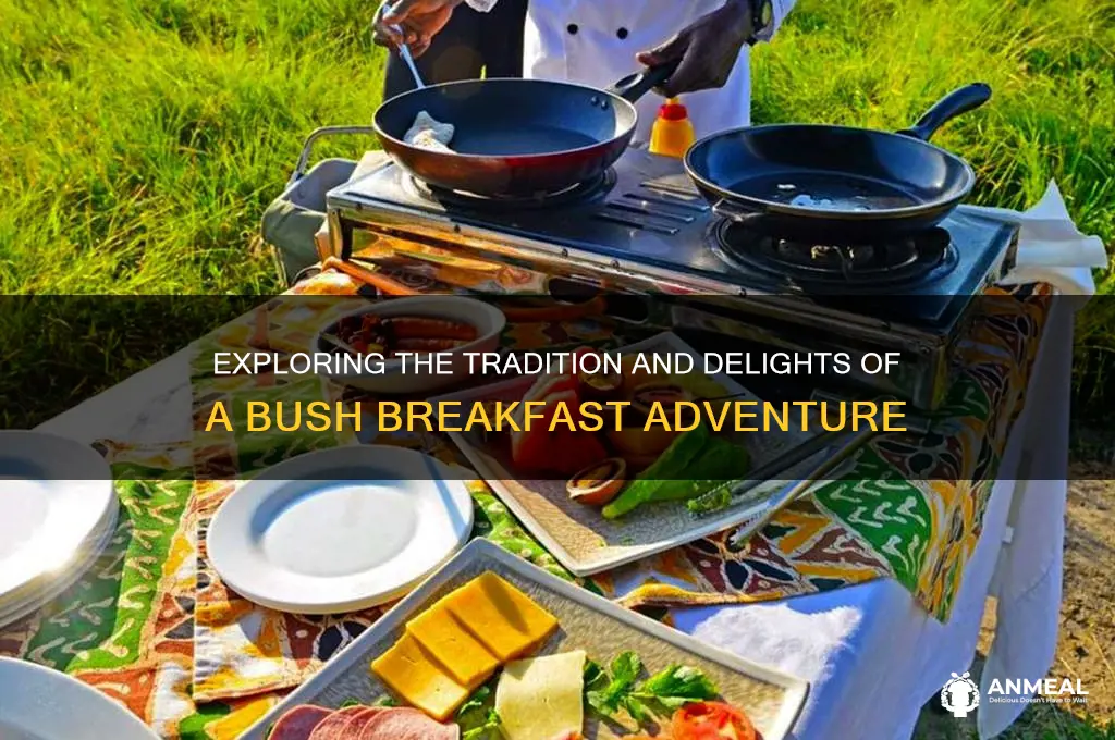 what is a bush breakfast