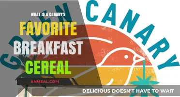 Canary's Crunch: Top Breakfast Cereals Birds Love Most