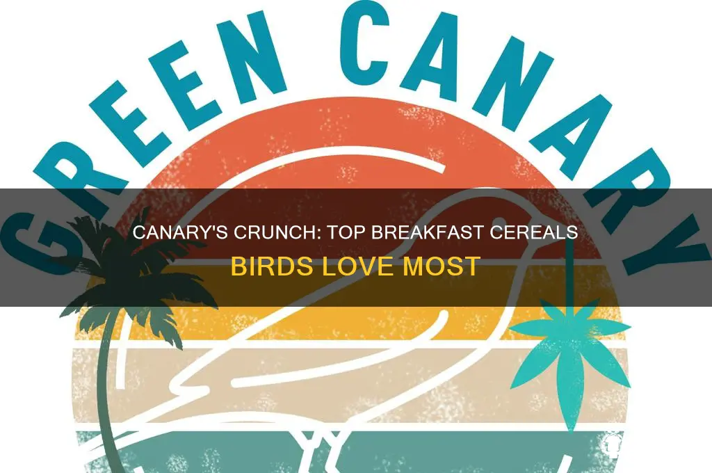what is a canary