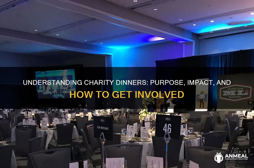 what is a charity dinner