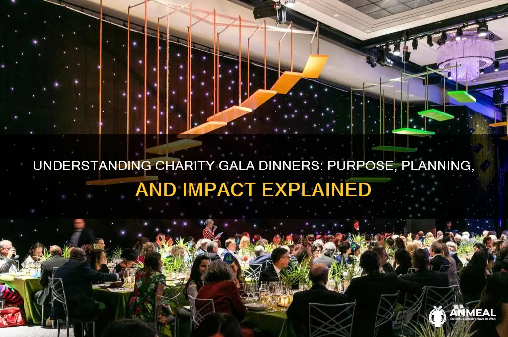 what is a charity gala dinner