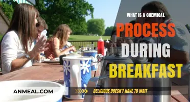Chemical Reactions in Your Breakfast: Unveiling Morning Meal Processes