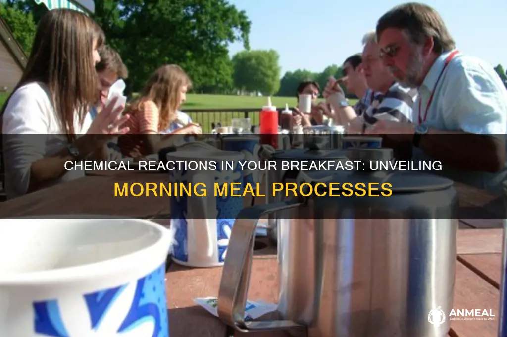 what is a chemical process during breakfast