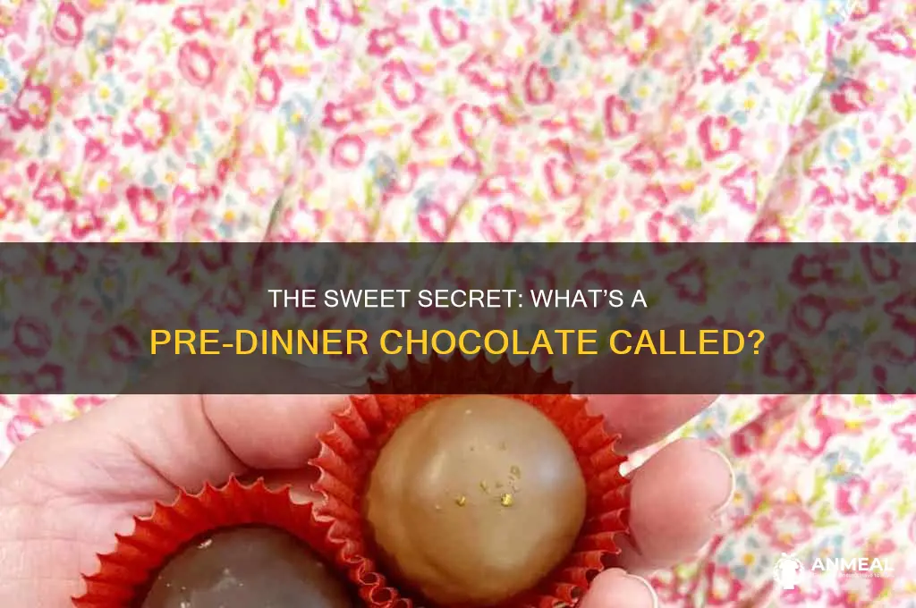what is a chocolate before dinner called