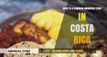 Discover Costa Rica's Beloved Breakfast Staple: Gallo Pinto Explained