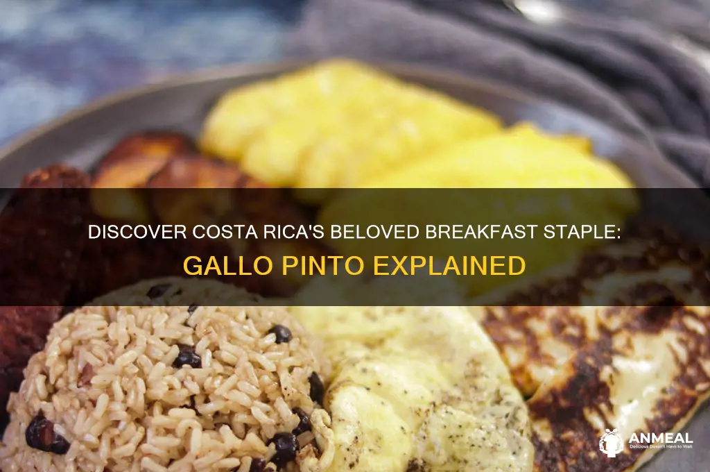 what is a common breakfast food in costa rica