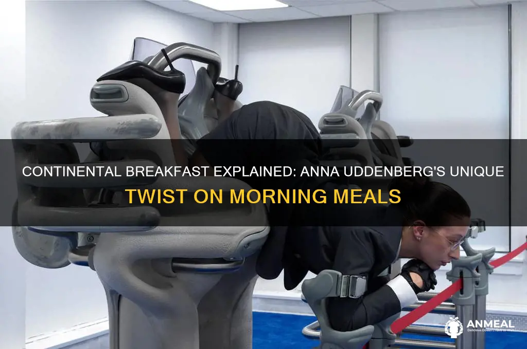 what is a continental breakfast anna uddenberg