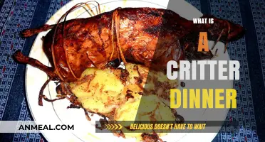 Exploring Critter Dinner: A Unique Culinary Adventure with Nature's Delicacies