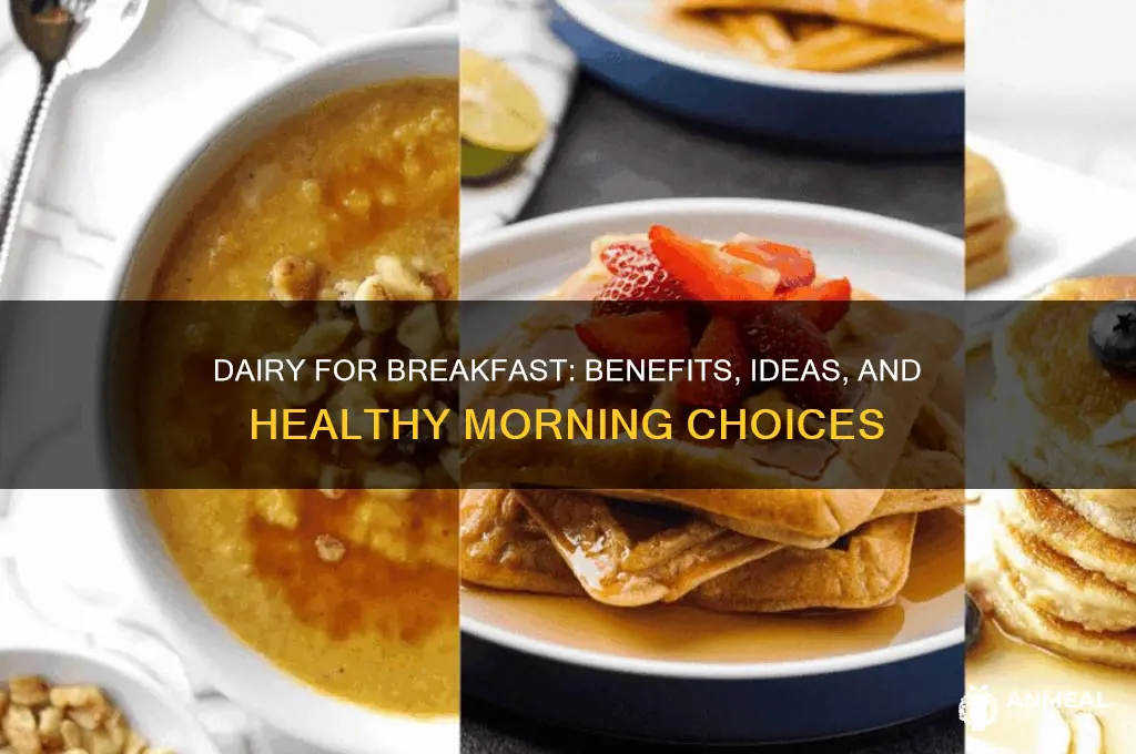 what is a dairy for breakfast
