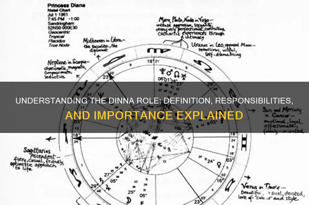 what is a dinna role