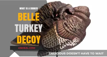 Discover the Dinner Belle Turkey Decoy: Hunting's Secret Weapon Explained