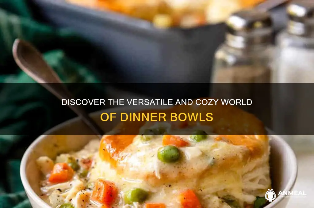 what is a dinner bowl