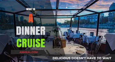 Exploring the Magic of a Dinner Cruise Experience