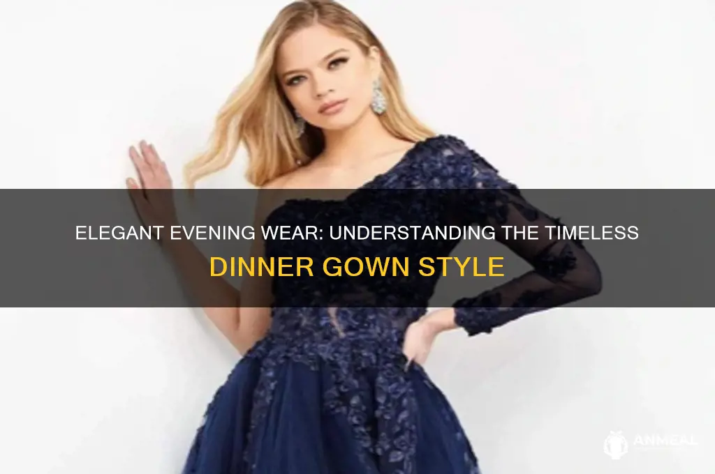 what is a dinner gown
