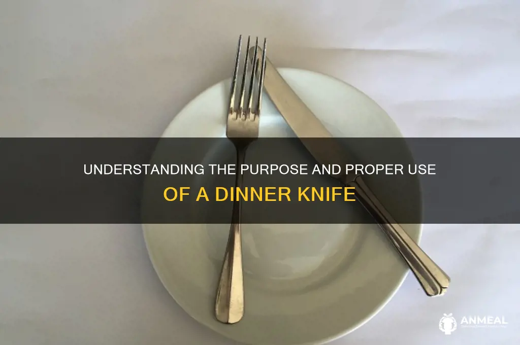 what is a dinner knife used for