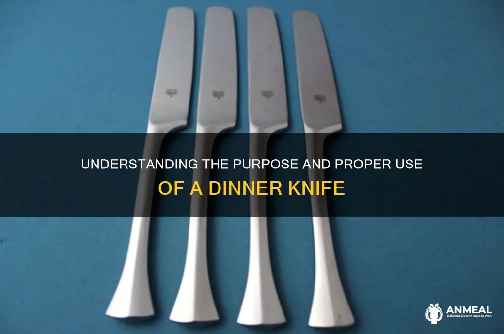what is a dinner knife
