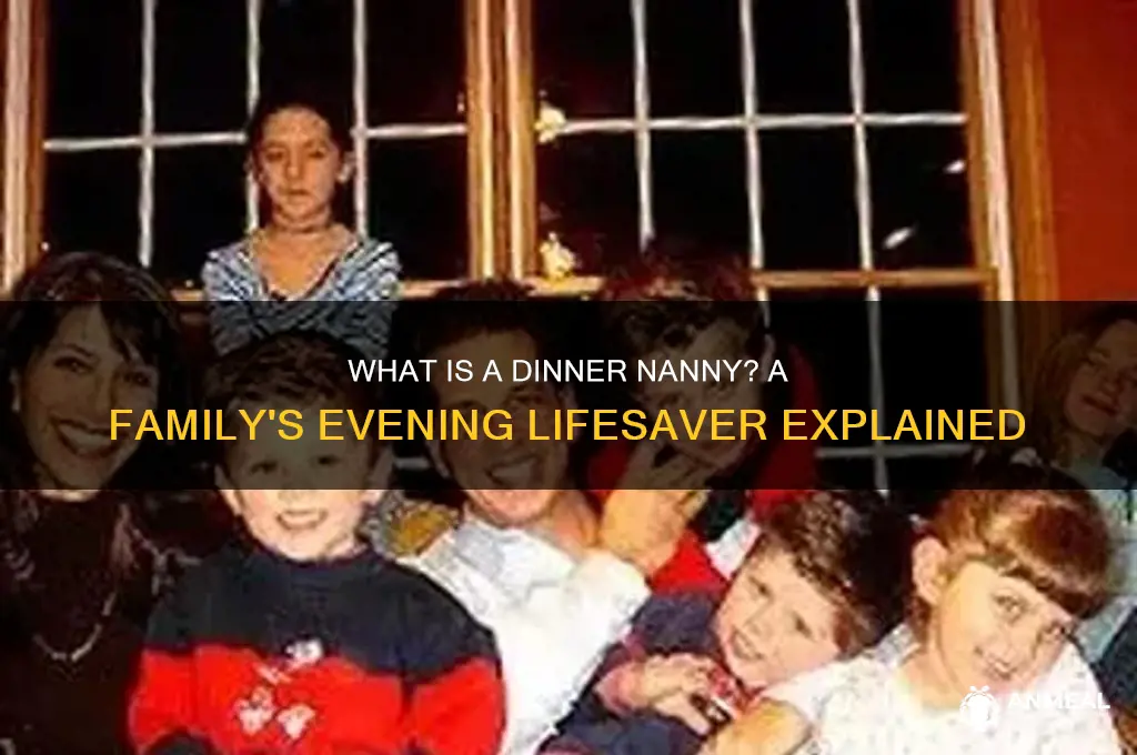 what is a dinner nanny