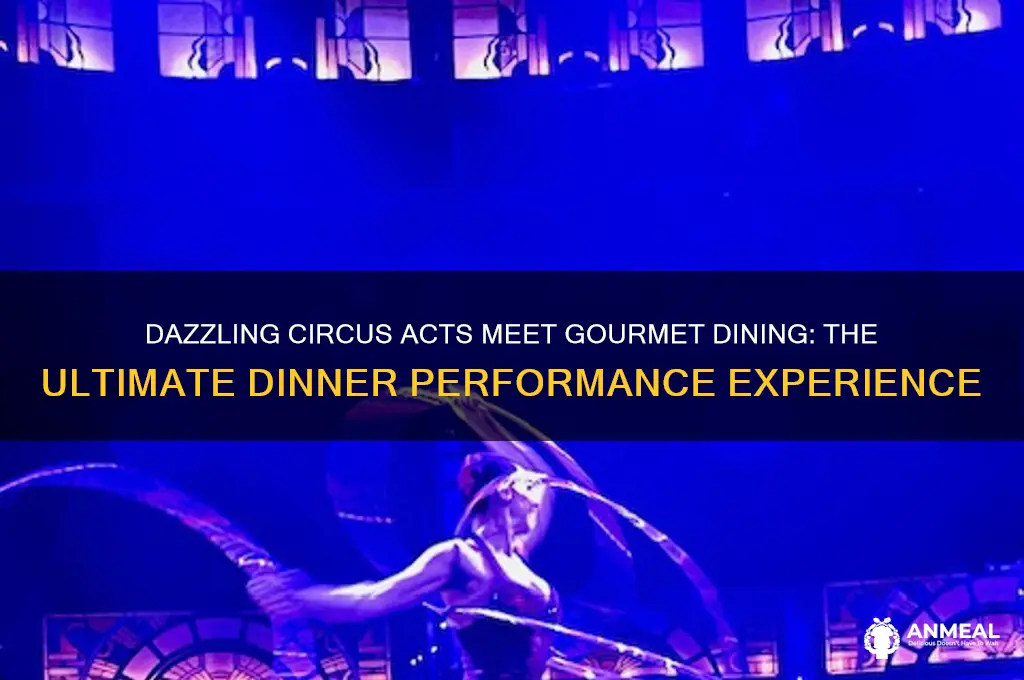 what is a dinner performance at circus acts