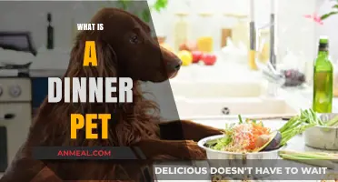Understanding the Concept of a Dinner Pet: A Unique Companion
