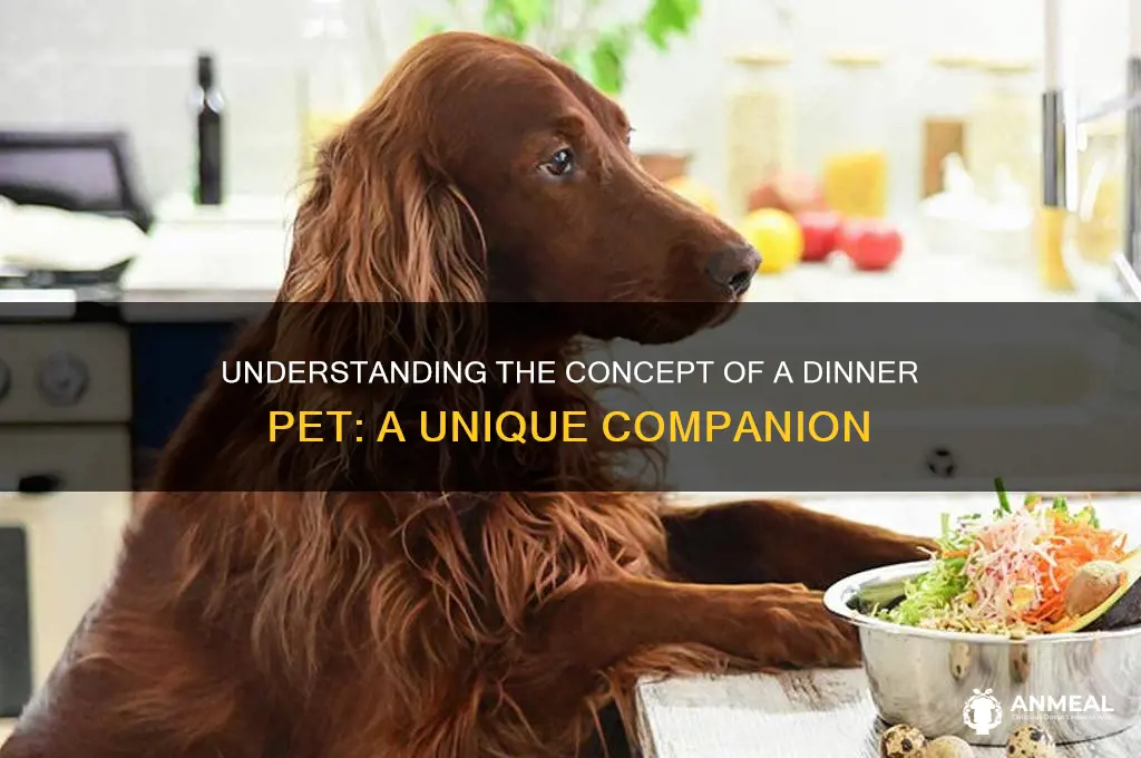 what is a dinner pet