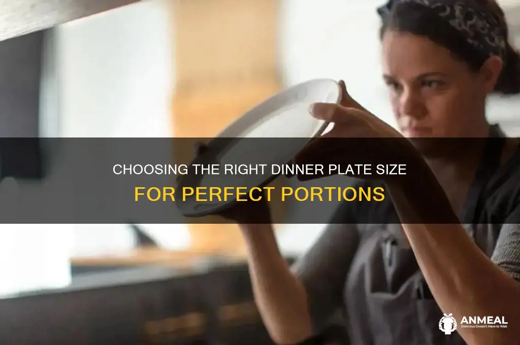 what is a dinner plate size