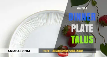 Understanding the Dinner Plate Talus: A Unique Geological Formation Explained