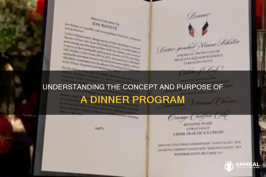 what is a dinner program