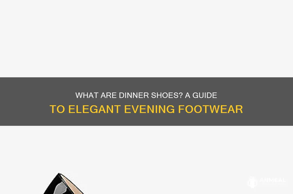 what is a dinner shoe