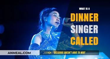 The Art of Dinner Music: What’s a Dinner Singer Called?