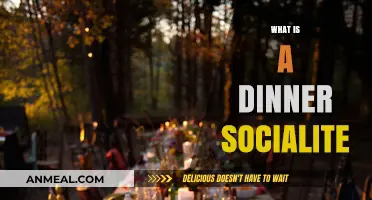 Dinner Socialite: Mastering the Art of Elegant Evening Gatherings