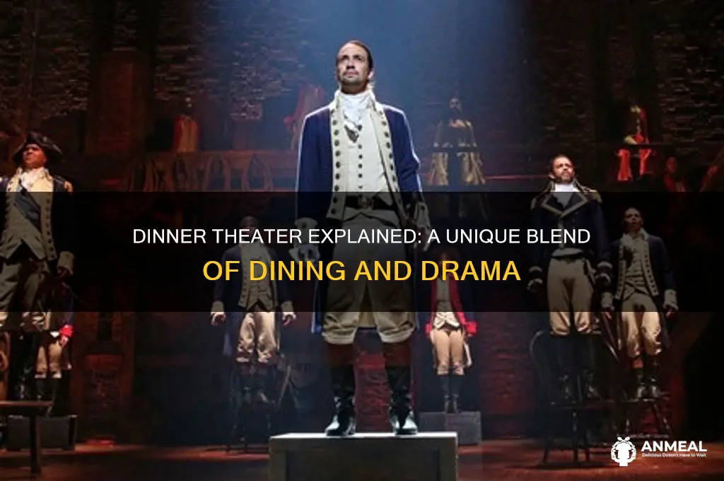 what is a dinner theat
